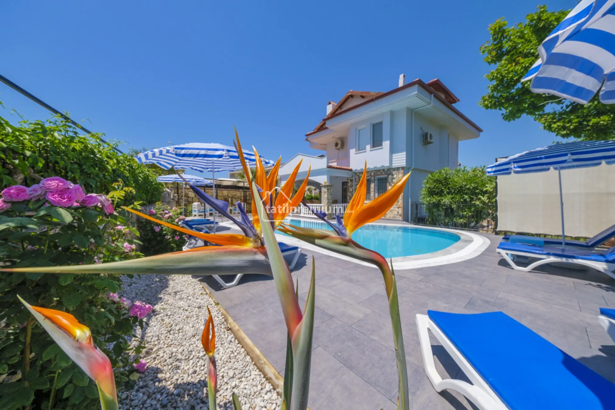 tatilpremium-oludeniz-kiralik-villa-baron-17-3431.jpg