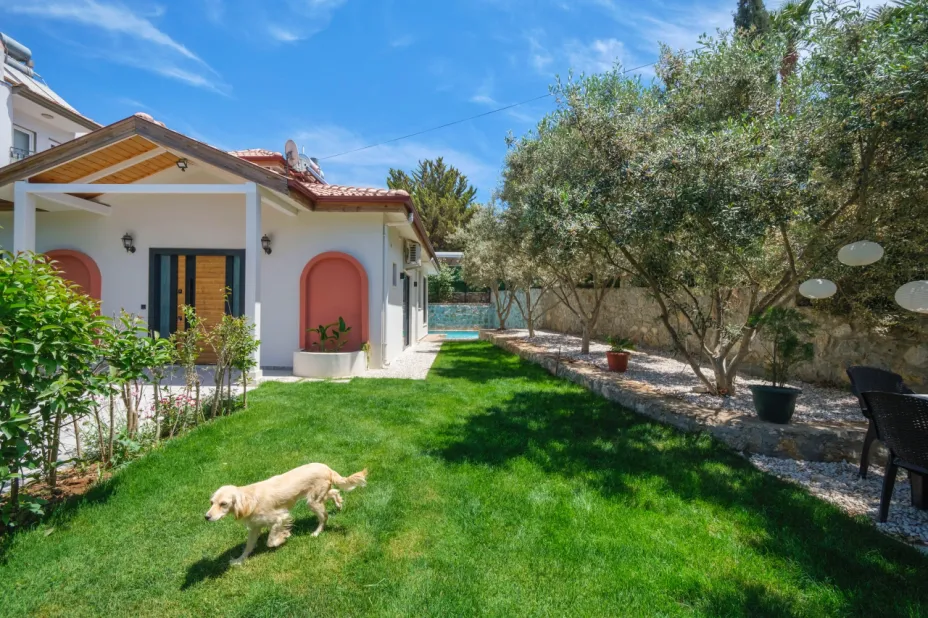 tatil-premium-fethiye-oludeniz-ozel-havuzlu-kiralik-villa-root-bohem-4-477.jpg